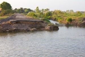 Lake with high water level